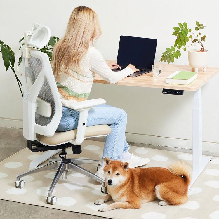 Why a White Desk Chair is the Most Stylish Choice for Your Office