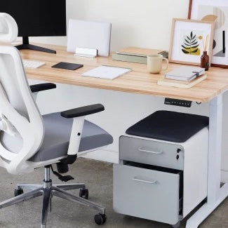 RISE filing cabinet under standing desk