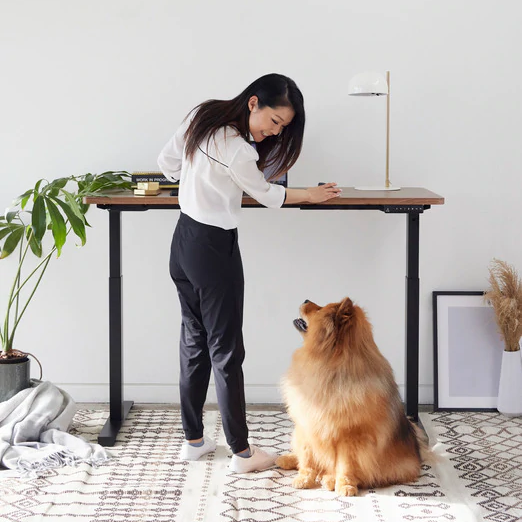 RISE standing desk fully adjustable