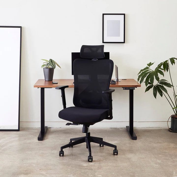 Are ergonomic 2024 chairs worth it