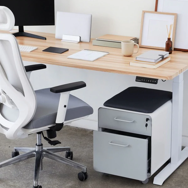Meet the Best Electric Standing Desk in Canada