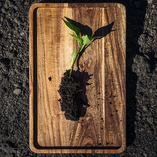 RISEup against climate change campaign