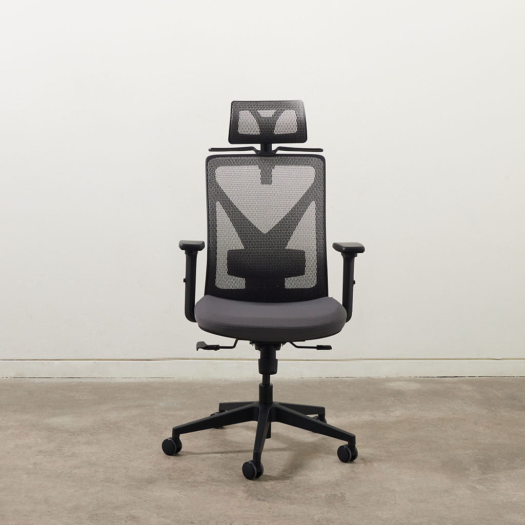 Rise Ergo Chair Pro (Dark Grey)