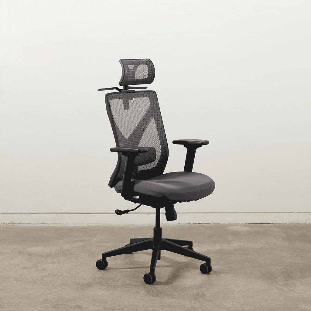 Rise Ergo Chair Pro (Dark Grey)