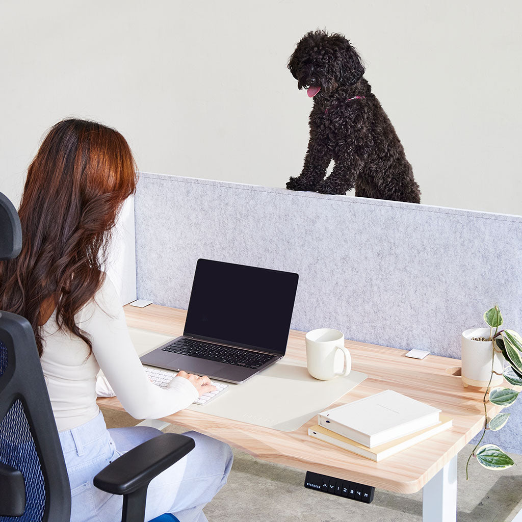 Pear Standing Desk