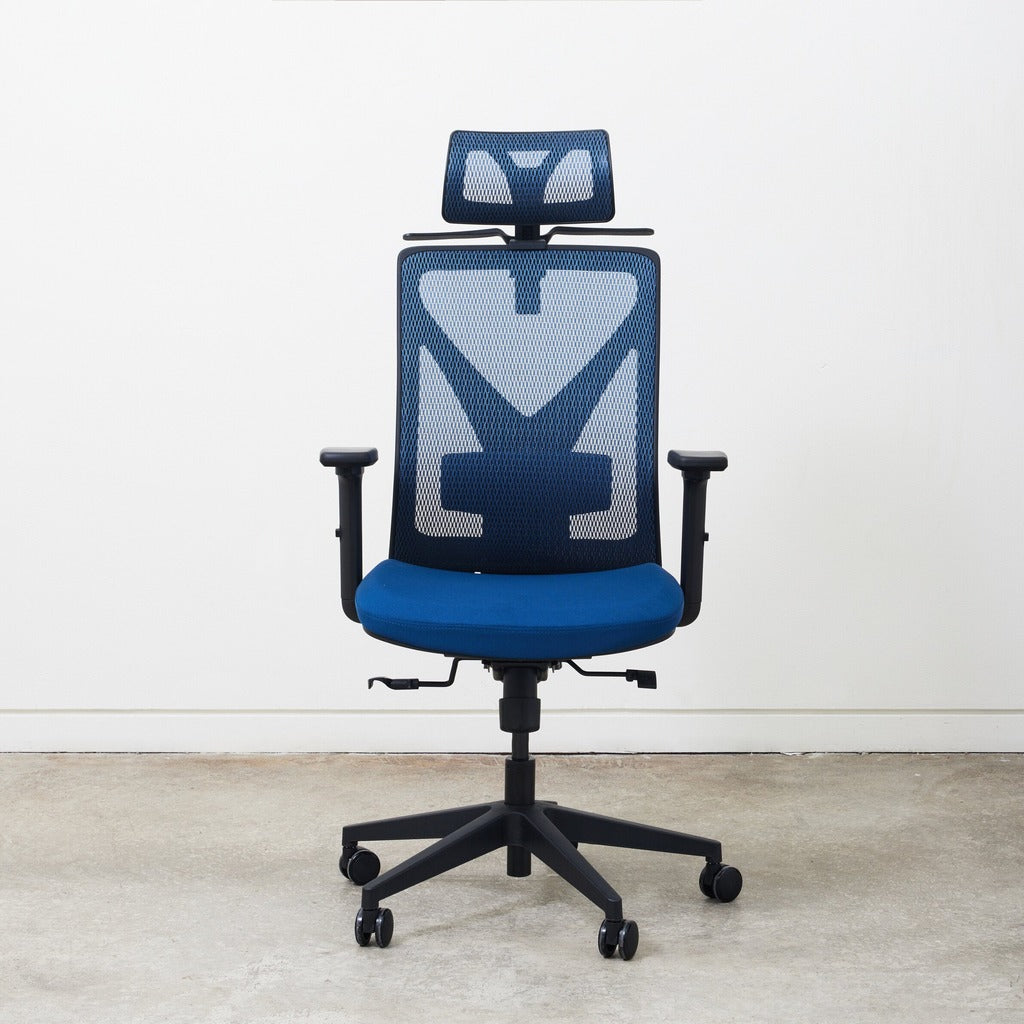 Rise Ergo Chair Pro (Blue)