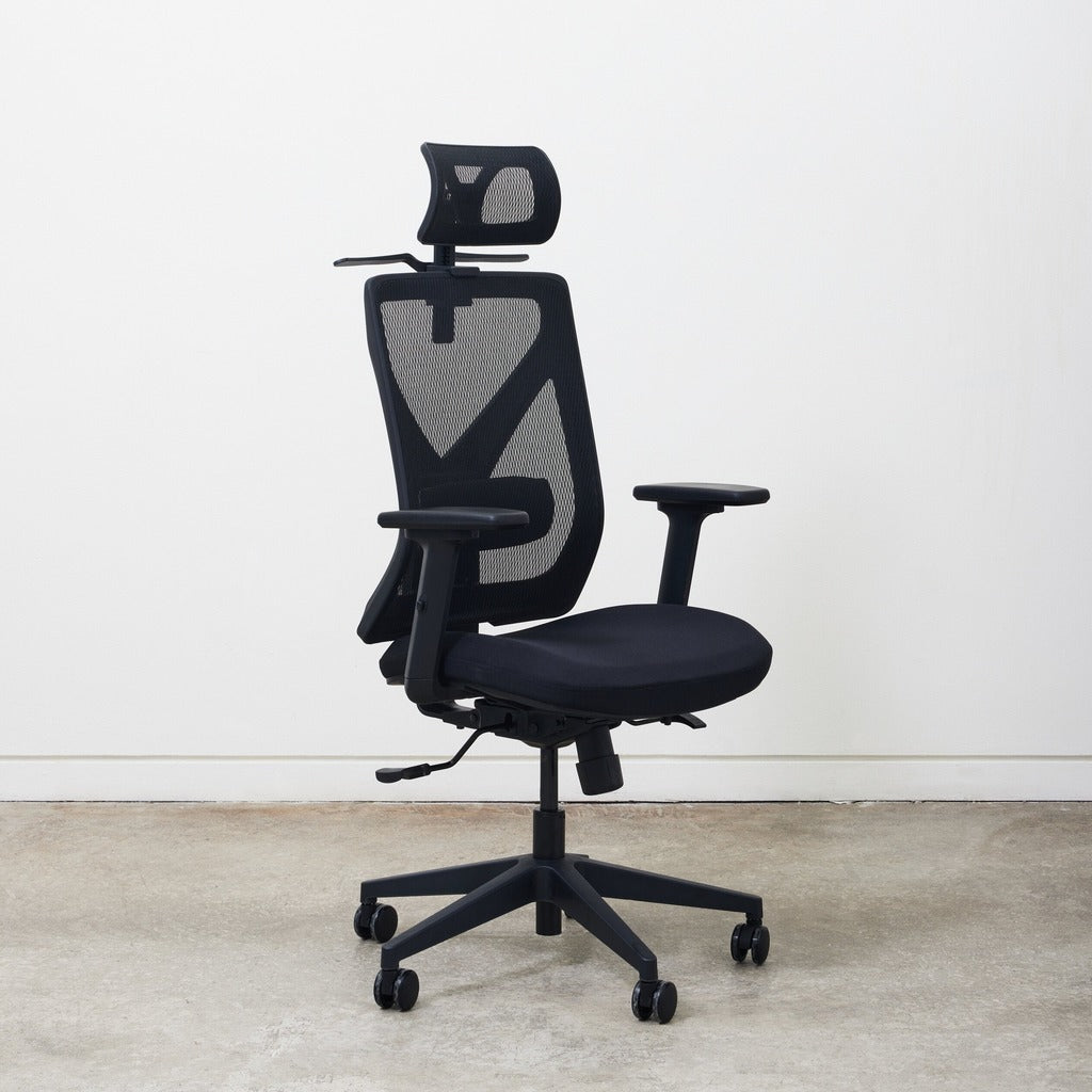 Rise Ergo Chair Pro (Black)