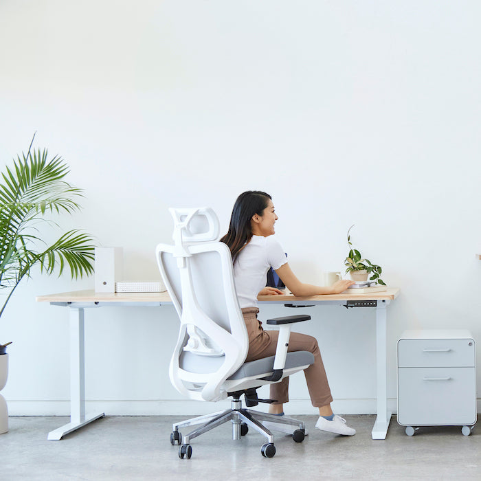 RISE ergonomic office chair and standing desk white
