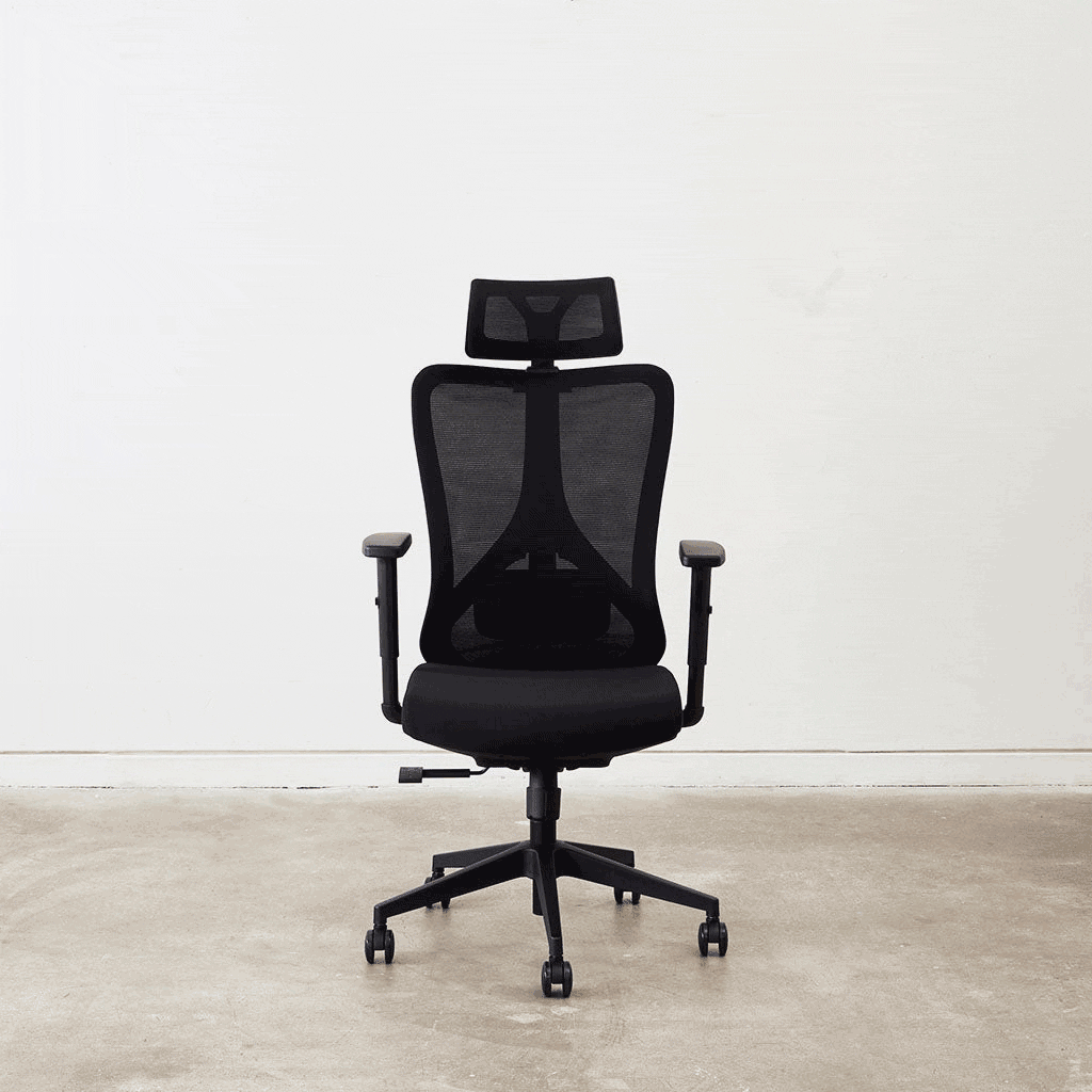 Rise Ergo Chair (Black)