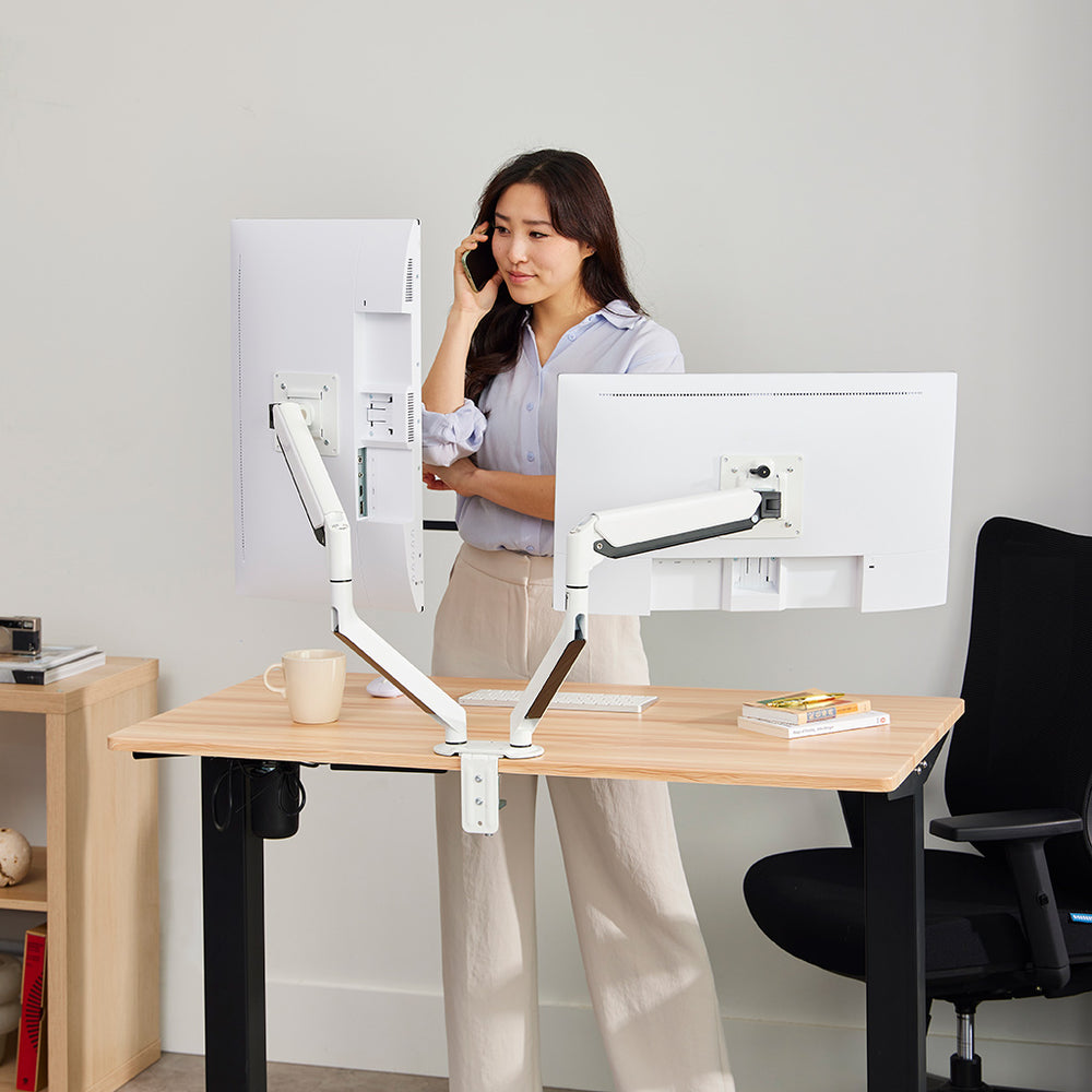 RISE | Monitor Arms