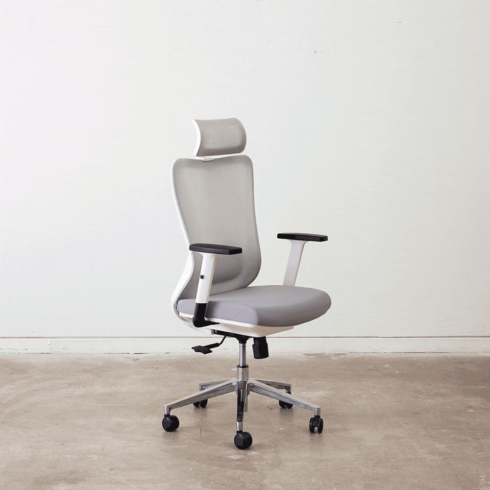 Rise Ergonomic Office Chair in Toronto RISE